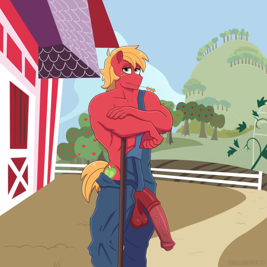 1:1 animal_genitalia animal_penis anthro anthrofied balls barn big_macintosh_(mlp) blonde_hair clothing cutie_mark denim denim_clothing denim_overalls earth_pony equid equine equine_genitalia equine_penis friendship_is_magic fur genitals green_eyes hair hasbro hi_res horse male mammal muscular muscular_anthro muscular_male my_little_pony outside overalls penis pony red_body red_fur shallowwin vein veiny_penis wheat wheat_in_mouth