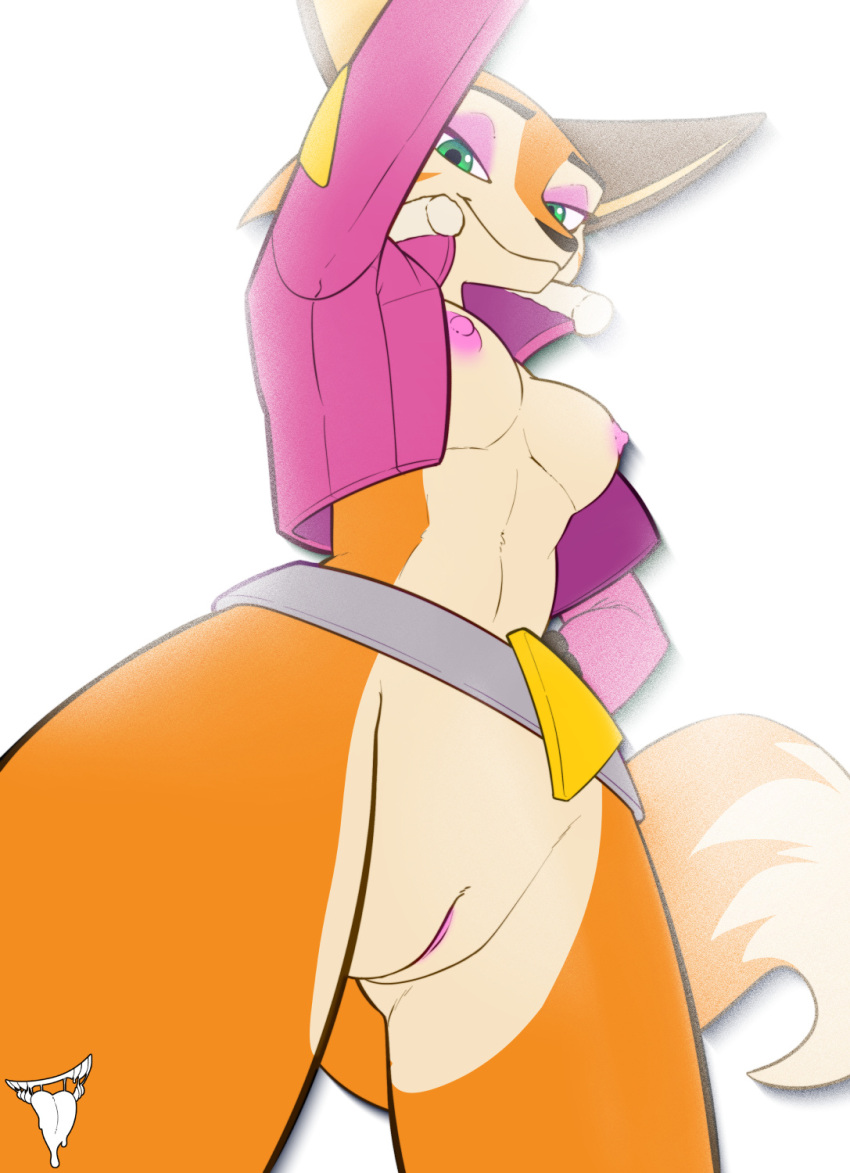 2023 anthro belt bmbrigand bottomless breasts canid canine clothed clothing dipstick_tail eyelids eyeshadow female fluffy fluffy_tail fox genitals half-closed_eyes hi_res jacket low-angle_view makeup mammal markings meika_(rimba_racer) narrowed_eyes nipples open_clothing open_jacket open_topwear partially_clothed purple_eyeshadow pussy smile solo tail tail_markings topwear