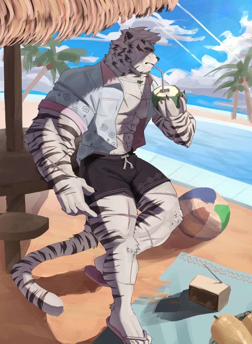 1boy abs alternate_costume animal_ears arknights bara beach black_male_swimwear blue_eyes bulge coconut drinking eyebrow_cut facial_hair furry furry_male goatee highres holding icyyyrock_(rockbenis) large_pectorals male_focus male_swimwear mature_male mountain_(arknights) muscular muscular_male nipples palm_tree pectoral_cleavage pectorals scar scar_across_eye shade short_hair solo standing standing_on_one_leg stomach sunlight swim_trunks thick_eyebrows thick_thighs thighs tiger_boy tiger_ears tree white_hair