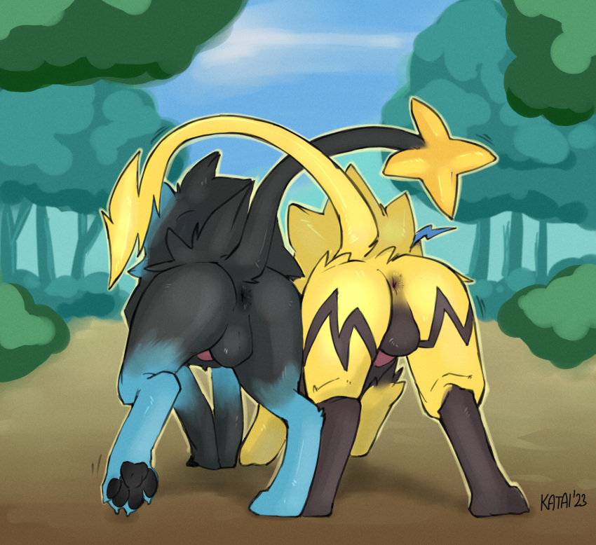 anus backsack balls butt duo felid feral forest generation_4_pokemon generation_7_pokemon genitals hi_res katai legendary_pokemon luxray male male/male mammal nintendo outside pawpads plant pokemon pokemon_(species) presenting presenting_hindquarters rear_view side_by_side take_your_pick tree zeraora