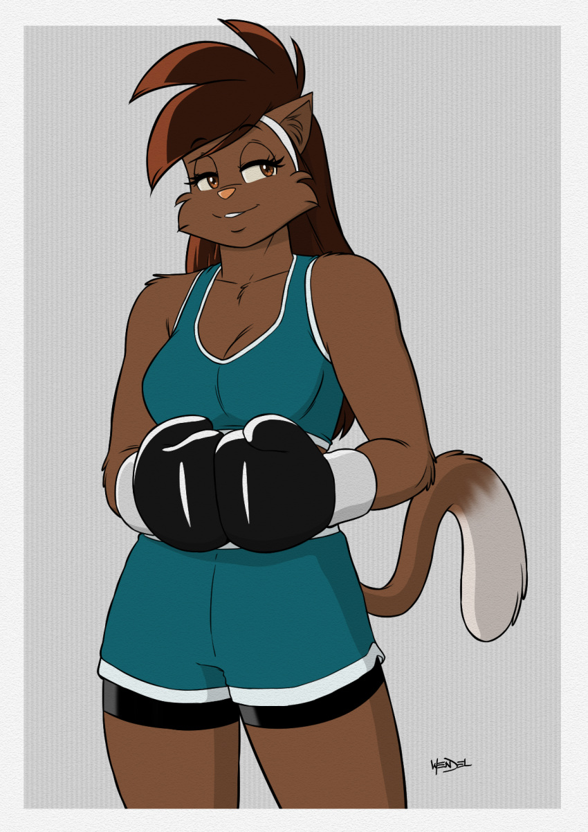 anthro boxing_gloves clothing deborah_bispo domestic_cat felid feline felis female handwear hi_res mammal solo wendel_fragoso