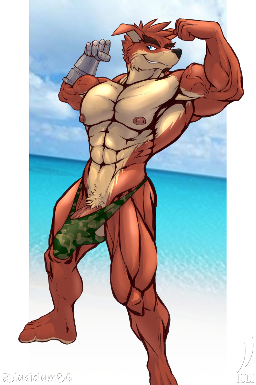 abs activision anthro bandicoot beach biceps clothing crash_bandicoot_(series) crunch_bandicoot cybernetic_limb flexing hi_res invalid_tag iudicium86 male mammal marsupial muscular nipples outside pubes seaside solo speedo stretched_clothing swimwear