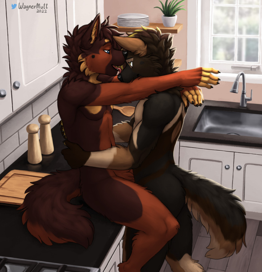 anthro blue_eyes brantley canid canine canis domestic_dog duo embrace eye_contact german_shepherd herding_dog hi_res kitchen looking_at_another male male/male mammal nude pastoral_dog tongue tongue_out wagnermutt