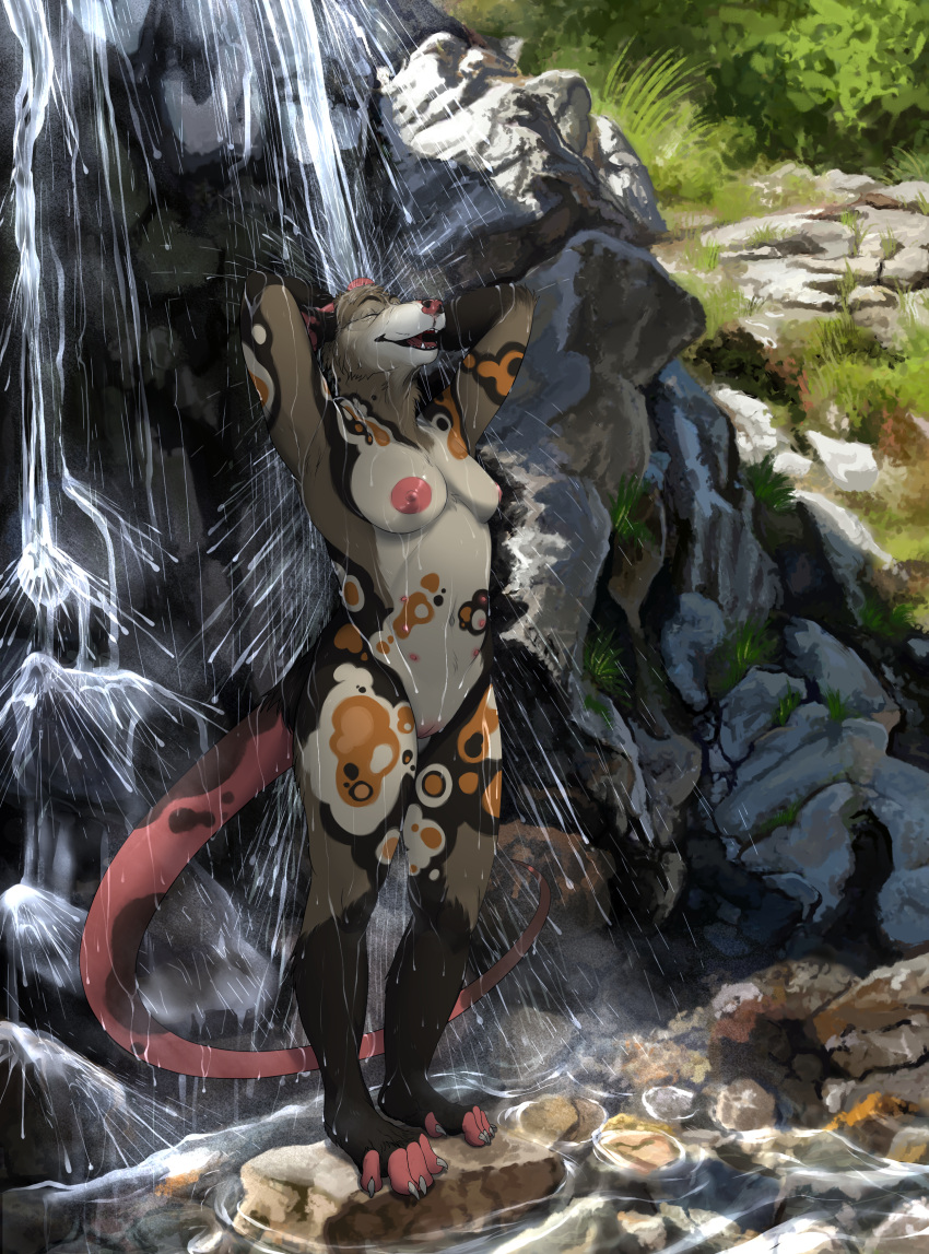 absurd_res african_wild_dog american_opossum anthro avery_(weisyl) bathing black_body black_fur breasts brown_body brown_fur canid canine chubchow claws detailed_background eyes_closed female forest fur genitals hi_res hybrid mammal markings marsupial nude open_mouth orange_body orange_fur pink_tail plant pussy raised_arms solo solo_focus standing tail tail_markings tasteful_nudity toe_claws tree waterfall white_body white_fur