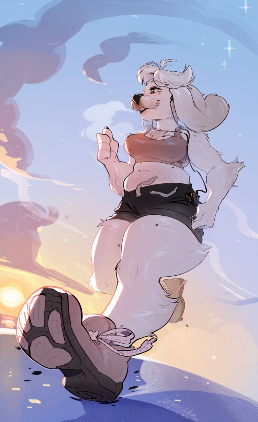 4_fingers anthro bottomwear bra breasts canid canine canis clothed clothing domestic_dog female fingers floppy_ears footwear fur hi_res hotpants long_ears low-angle_view mammal outside running shoes shorts slightly_chubby solo sports_bra thick_thighs topwear ulitochka underwear white_body white_fur