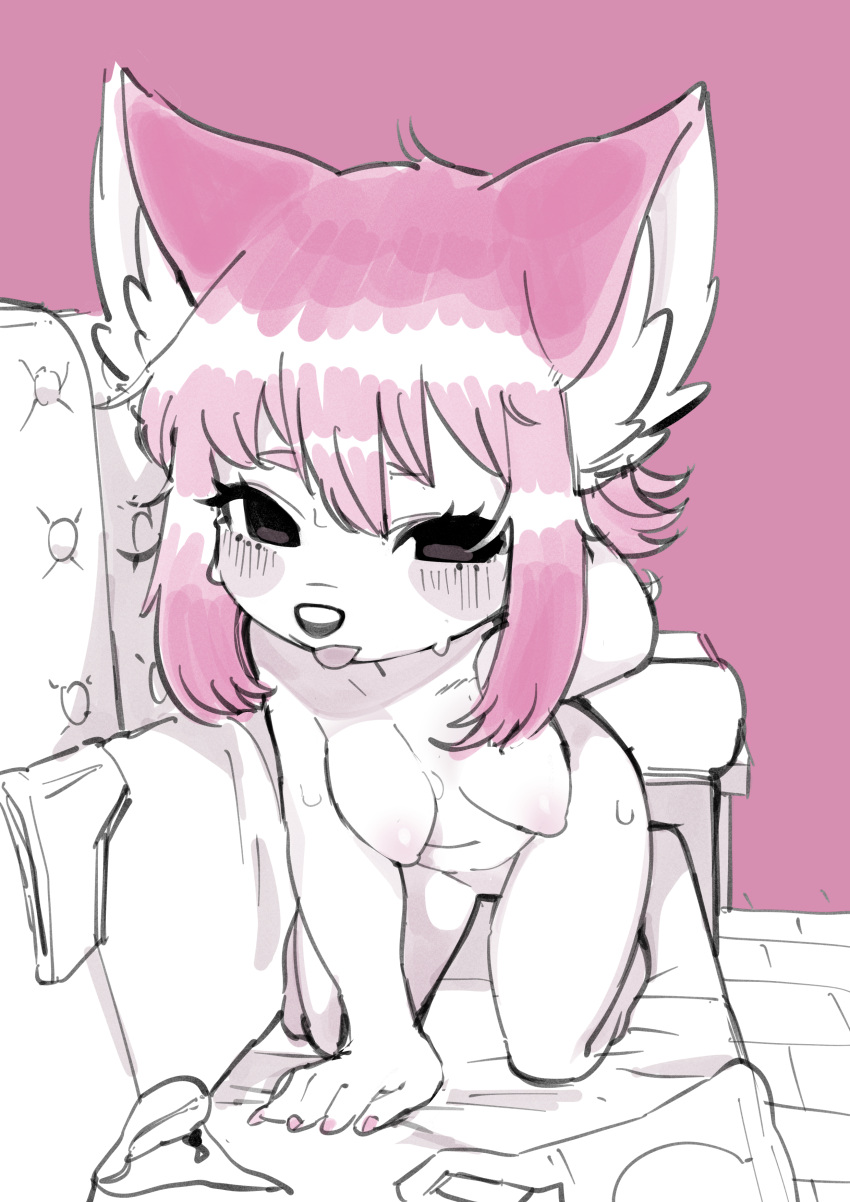 2023 absurd_res all_fours anthro bedding black_nose blep blush bodily_fluids breasts canid canine clothing eyelashes featureless_crotch female fingers front_view furniture hair hand_in_hair hanging_breasts hi_res hibiki_(oposa) inner_ear_fluff kemono leaning leaning_forward looking_at_viewer mammal monochrome nipples nude open_mouth oposa pink_background simple_background sketch sofa solo sweat tongue tongue_out touching_hair tuft underwear