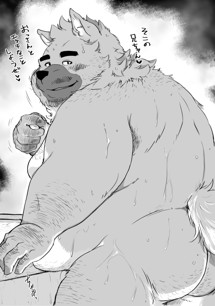 2023 anthro belly big_belly blush bodily_fluids butt canid canine canis domestic_dog hi_res humanoid_hands japanese_text kemono male mammal moobs overweight overweight_male shintatokoro solo sweat text