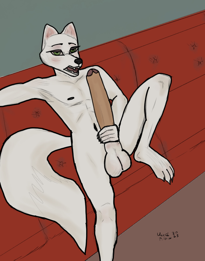 absurd_res animal_genitalia anthro arctic_wolf black_nails black_nose canid canine canis colored_nails furniture genitals green_eyes hi_res looking_at_viewer male mammal masturbation nails nakedpillow on_sofa open_mouth paws penile penile_masturbation sheath simple_background sitting sitting_on_sofa sofa solo uncut_with_sheath white_body wolf