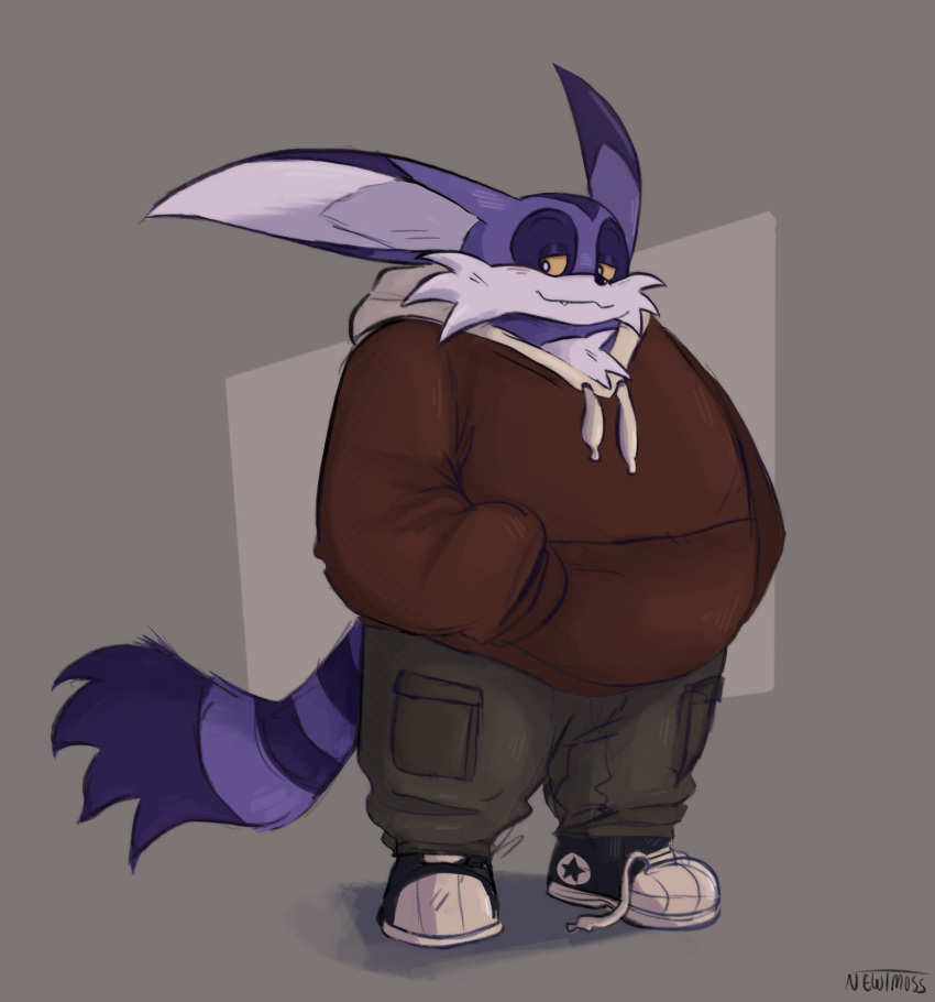 anthro big_the_cat clothing domestic_cat felid feline felis footwear fur hand_in_pocket hi_res hoodie male mammal newtmoss overweight pockets purple_body purple_fur sega shoelaces shoelaces_untied shoes sneakers solo sonic_the_hedgehog_(series) topwear yellow_eyes