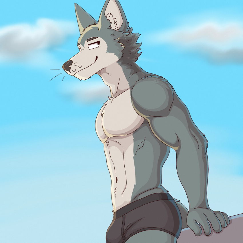 1:1 2023 5_fingers anthro beastars bezzeroo biceps black_clothing black_nose black_underwear blurred_background canid canine canis clothed clothing cloud digital_media_(artwork) fingers fur grin hi_res legoshi_(beastars) male mammal muscular muscular_anthro muscular_male outside shaded sky smile standing tail topless underwear underwear_only wolf