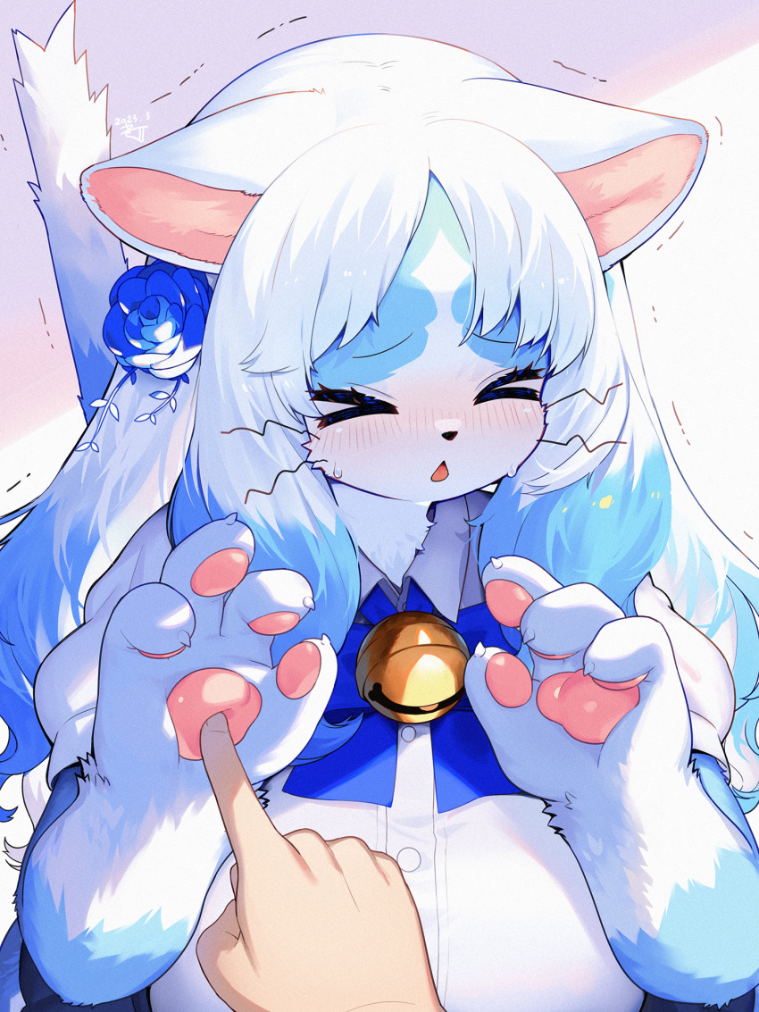 &gt;_&lt; 1girl animal_ears animal_hands bell blue_flower blue_fur blue_hair blue_rose body_fur breasts commentary_request flower furry furry_female hair_flower hair_ornament highres jingle_bell kishibe large_breasts long_hair multicolored_hair open_mouth original rose solo_focus tail two-tone_fur upper_body white_fur white_hair