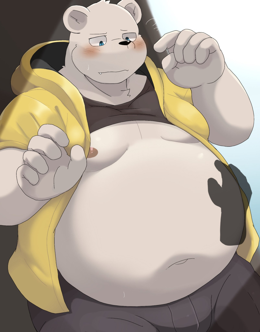 2023 ai_only_dream anthro bear belly big_belly black_nose blush bottomwear clothed clothing hi_res hoodie humanoid_hands kemono male mammal moobs nipples open_clothing open_hoodie open_topwear pants polar_bear raised_clothing raised_shirt raised_topwear shirt solo_focus topwear ursine white_body