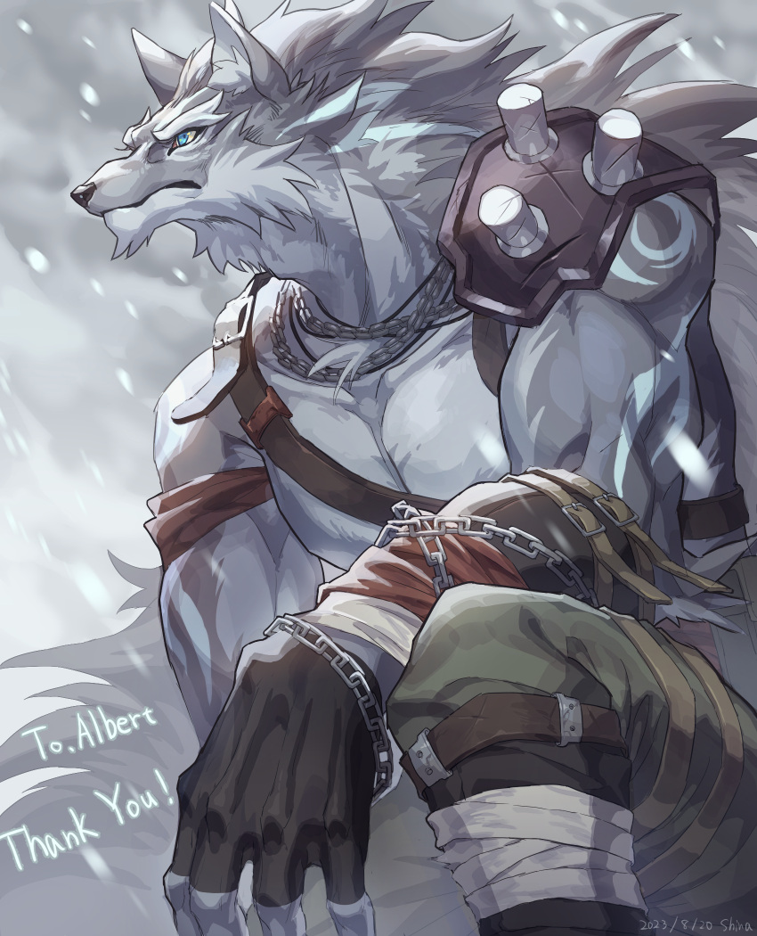 anthro bare_chest blizzard_(weather) blue_eyes bottomwear canid canine canis chain clothed clothing english_text fingerless_gloves fur fur_markings gloves handwear hi_res leather_strap male mammal markings muscular muscular_anthro muscular_male neckwear pants shinashina.0317 snow snowing solo text watching_aside wolf