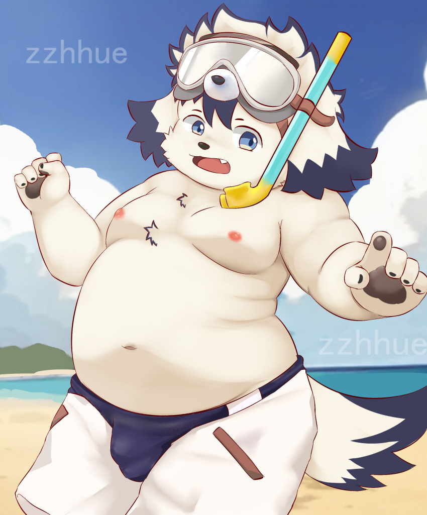 absurd_res anthro beach belly blue_eyes bottomwear bulge canid canine canis clothing domestic_dog eyewear floppy_ears fur goggles hi_res male mammal moobs navel nipples overweight pawpads seaside shorts snorkel solo tajima_(tamacolle) tamacolle white_body white_fur zzhue