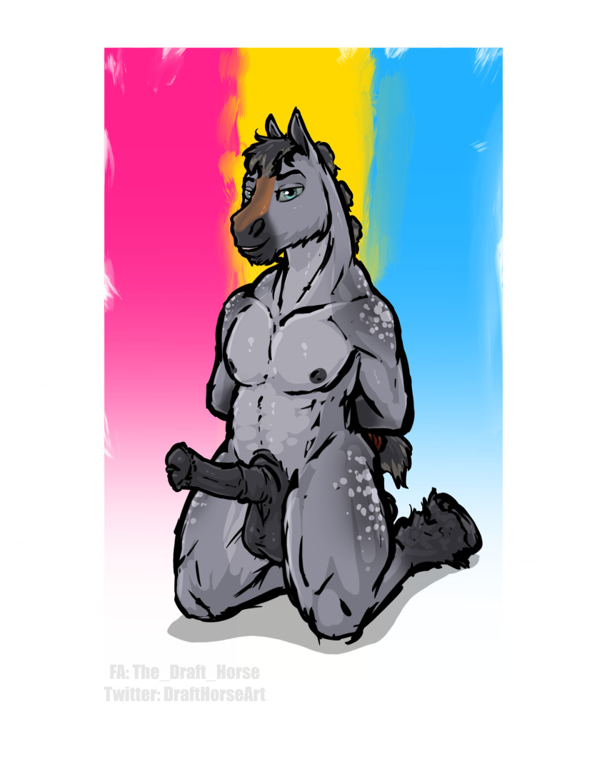 2022 4:5 absurd_res animal_genitalia animal_penis anthro balls black_penis blue_eyes equid equine equine_genitalia equine_penis erection fur genitals grey_body grey_fur hands_behind_back hi_res horse kneeling lgbt_pride male mammal nipples nude pansexual_pride_colors penis pride_colors simple_background solo the_draft_horse white_background