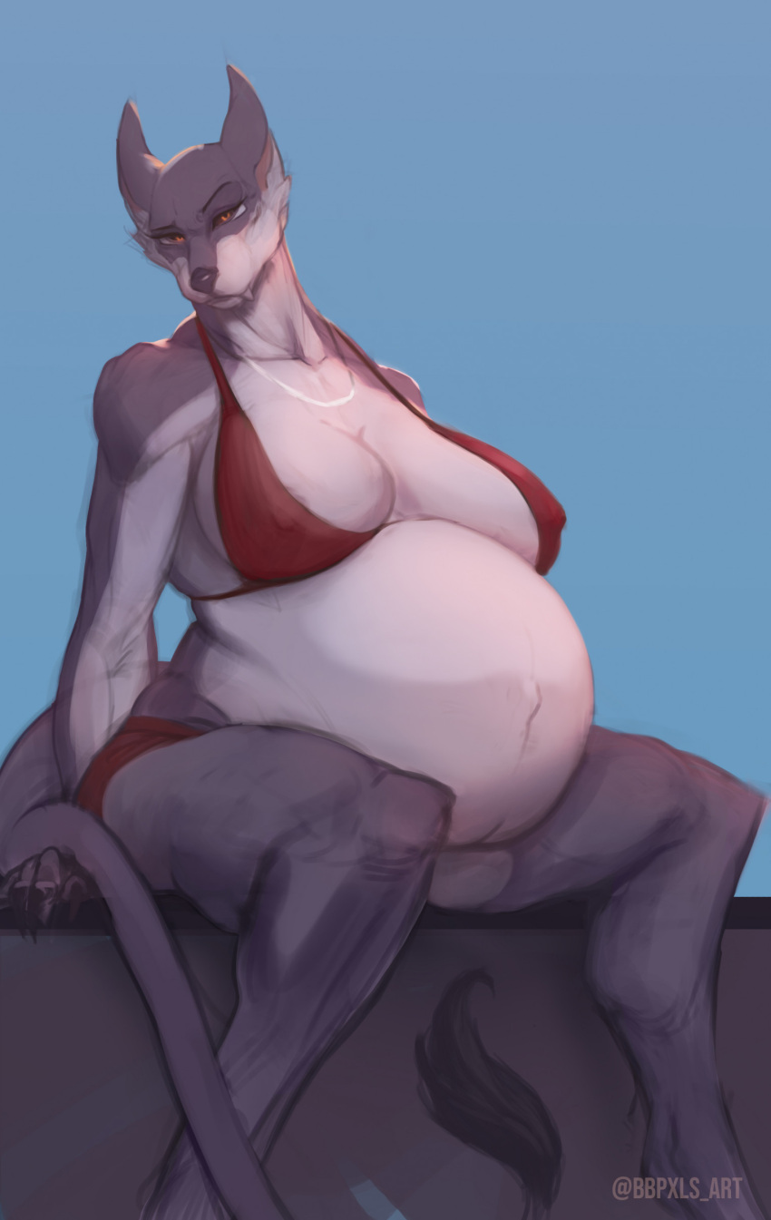 2023 absurd_res anthro artist_name bbpxls belly big_belly big_breasts bikini breasts callista_(bbpxls) canid canine canis clothing colored digital_media_(artwork) fangs female fur grey_body grey_fur hi_res jewelry looking_at_viewer low-angle_view mammal multicolored_body multicolored_fur navel necklace nipple_outline orange_eyes outie_navel pregnant simple_background sitting solo swimwear tail tail_tuft teeth tuft two_tone_body two_tone_fur white_body white_fur wolf