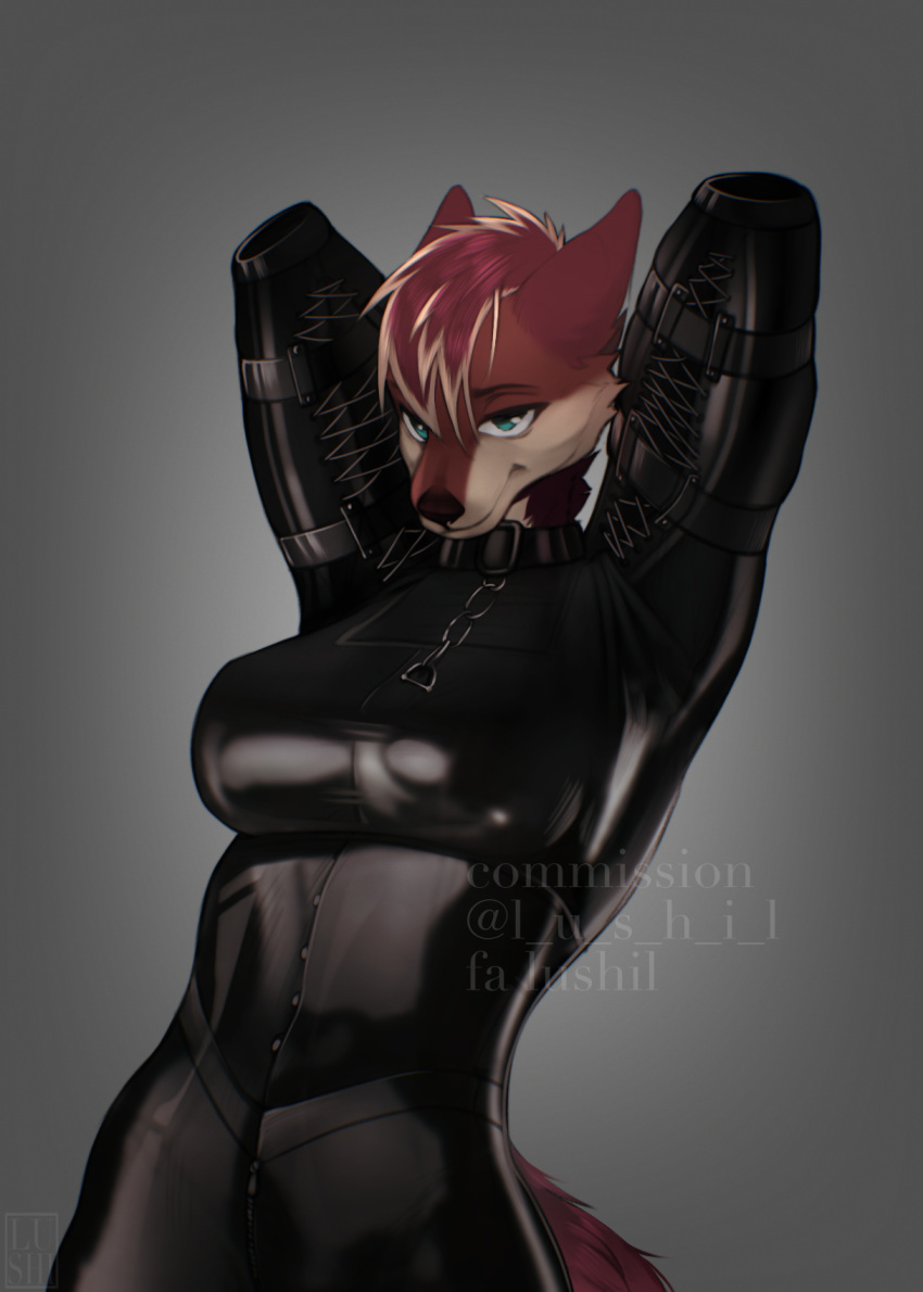 2023 anthro bitchsuit blue_eyes bondage_gear breasts canid canine chain chain_leash clothing digital_media_(artwork) digital_painting_(artwork) female foshy gradient_background grey_background hair hi_res leash looking_at_viewer lushil mammal maned_wolf multicolored_hair pink_hair rubber rubber_clothing rubber_suit simple_background solo tan_hair