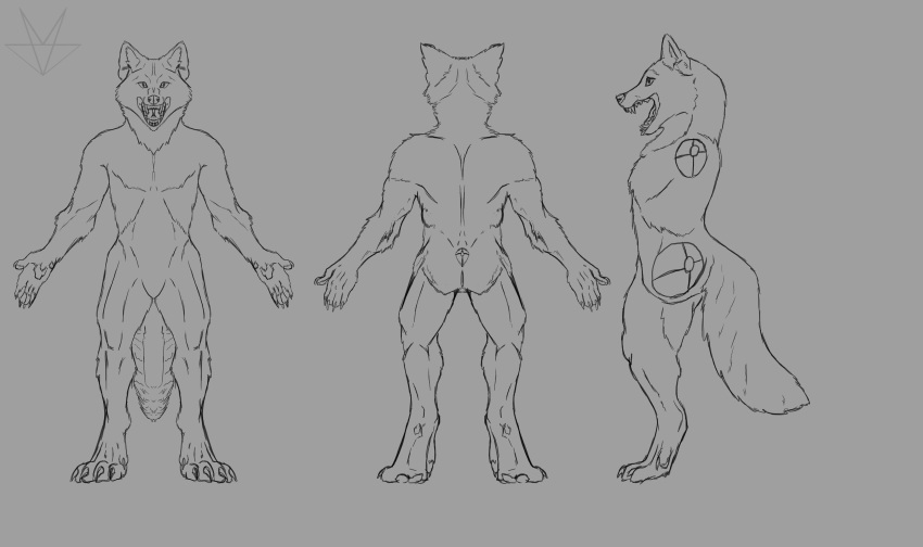 absurd_res anthro canid canine canis front_view hi_res inner_ear_fluff mammal model_sheet open_mouth rear_view side_view solo tail tuft weredigo(artist) wolf