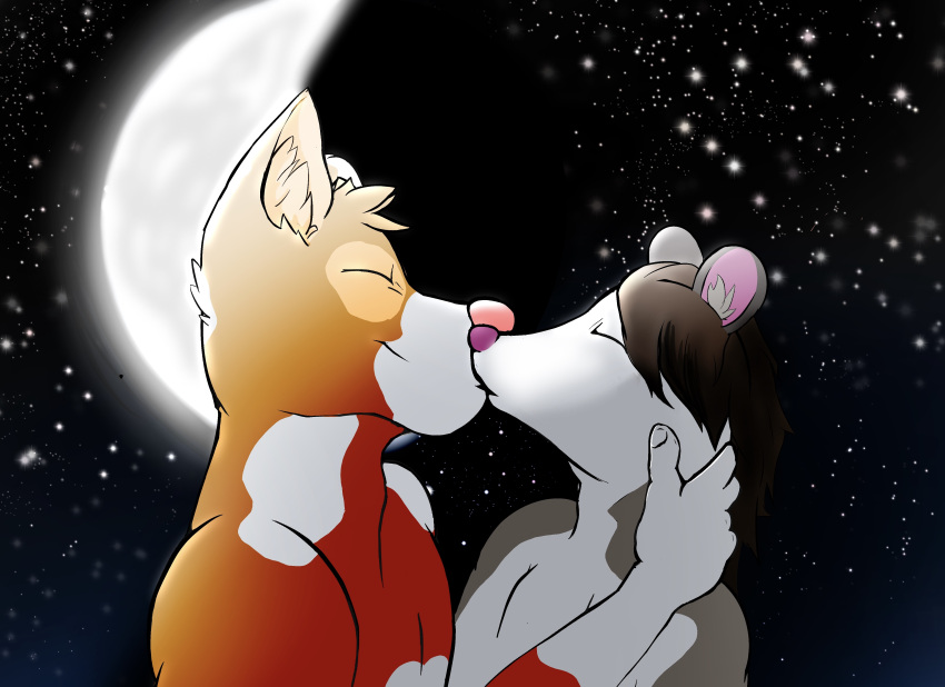 absurd_res anthro canid canine canis dante_mutt_(artist) didelphid domestic_dog hi_res kissing love male male/male mammal marsupial moon night romantic star