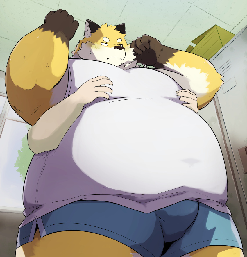 2023 absurd_res anthro belly big_belly black_nose bodily_fluids bottomwear bulge canid canine clothing detailed_background duo embrace fox hi_res hug hugging_from_behind humanoid_hands kemono locker_room male mammal moob_grab noctnoc overweight overweight_male shirt shorts solo_focus sweat topwear