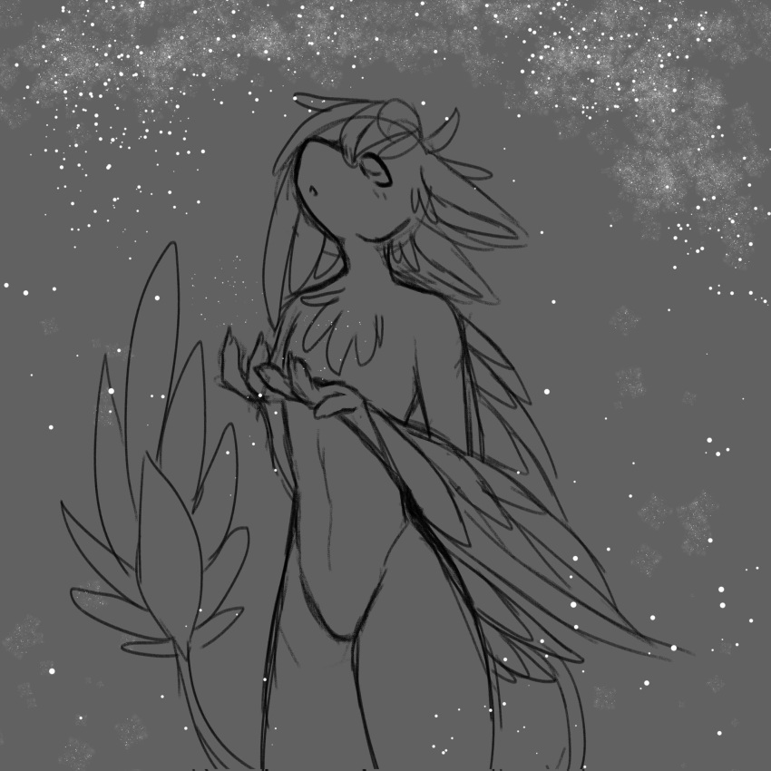 anthro avali drawing feathers greyscale harbalarm_(character) hi_res looking_up male monochrome sky solo sparkleshroom standing star starry_sky tail