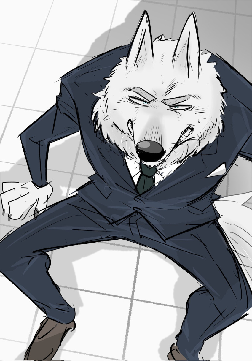 anthro black_nose blue_eyes bodily_fluids bottomwear canid canine canis clothed clothing eyebrows footwear fully_clothed fur hi_res illumination_entertainment jimmy_crystal koginoro_28 mammal necktie pants shoes sing_(movie) solo suit sweat white_body white_ears white_fur white_inner_ear wolf