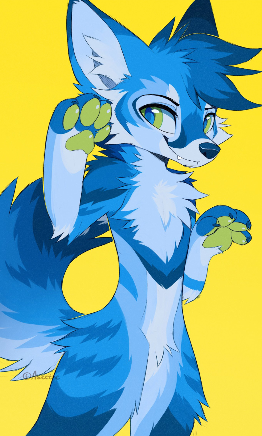 2023 anthro aseethe canid canine canis cheek_tuft coyote digital_media_(artwork) facial_tuft fox green_pawpads head_tuft hi_res hybrid inner_ear_fluff looking_at_viewer mammal nude pawpads signature simple_background smile solo tuft yellow_background