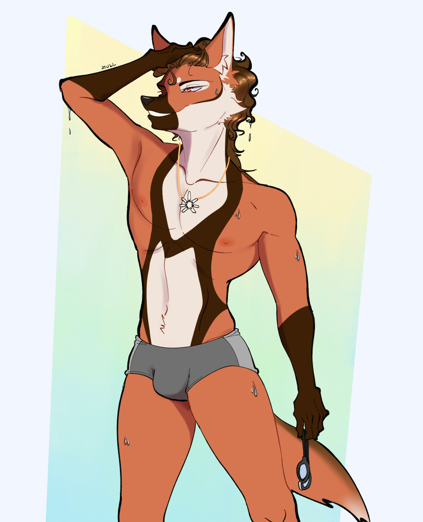 absurd_res anthro canid canine clothed clothing collar eyewear goggles grey_clothing grey_underwear hi_res jean_soren_ajiacc male mammal maned_wolf solo swimwear topless underwear water wet wet_body zull_darkspear