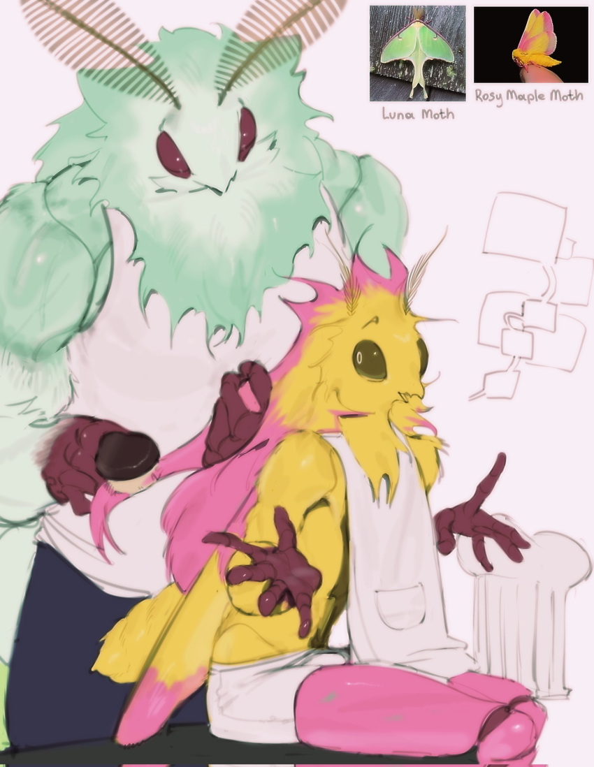 2023 anthro anthro_on_anthro arthropod biceps biped bottomwear brush brushing brushing_hair clothing digital_media_(artwork) duo eyebrows fur green_body green_fur hair hi_res insect kogito lepidopteran luna_moth male male/male moth muscular muscular_anthro muscular_male personal_grooming pink_body pink_fur rosy_maple_moth saturniid shorts sitting speech_bubble standing styling_hair talking_to_another wings yellow_body yellow_fur