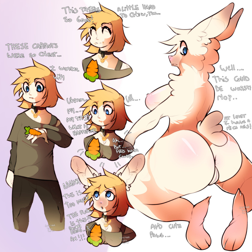 1:1 anthro anus big_breasts big_butt blonde_hair breast_growth breasts butt carrot clothed clothing colored confusion dialogue english_text female food fur gender_transformation genitals growth hair hi_res human human_to_anthro lagomorph lavendertoyz leporid male mammal mtf_transformation nipples nude plant pussy rabbit solo species_transformation text thick_thighs transformation transformation_sequence translated vegetable white_body white_fur