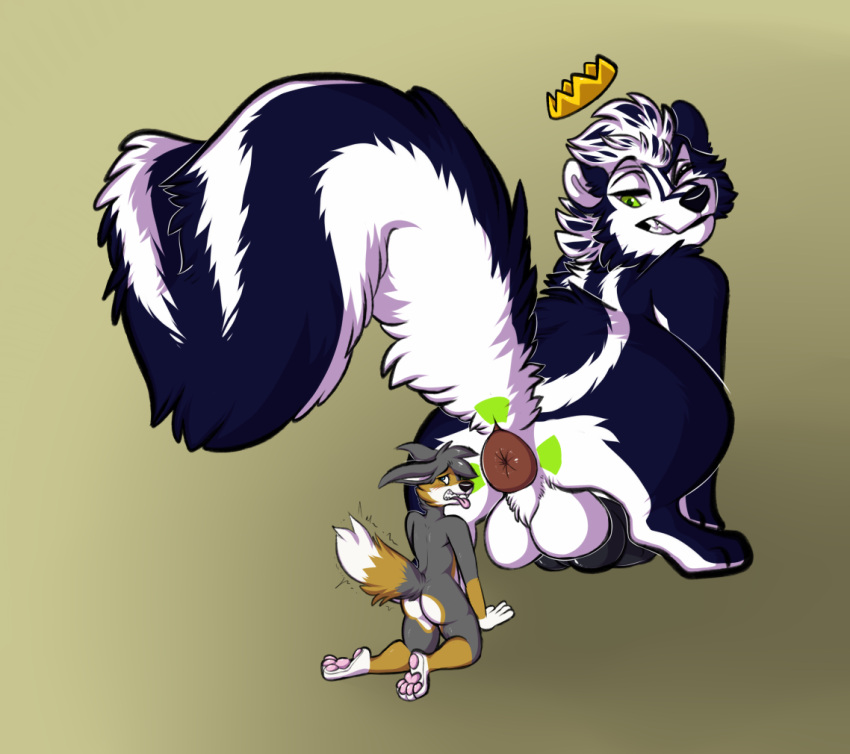 anthro anus balls butt canid canine canis diesel_(dieselrulez) disgust disgusted_face duo genitals looking_at_another looking_back looking_down male male/male mammal mephitid micro paws penis puffy_anus radiation_symbol raised_tail red_wolf size_difference skunk skunk_tail skunkbutts stripedreeko symbol tail wolf