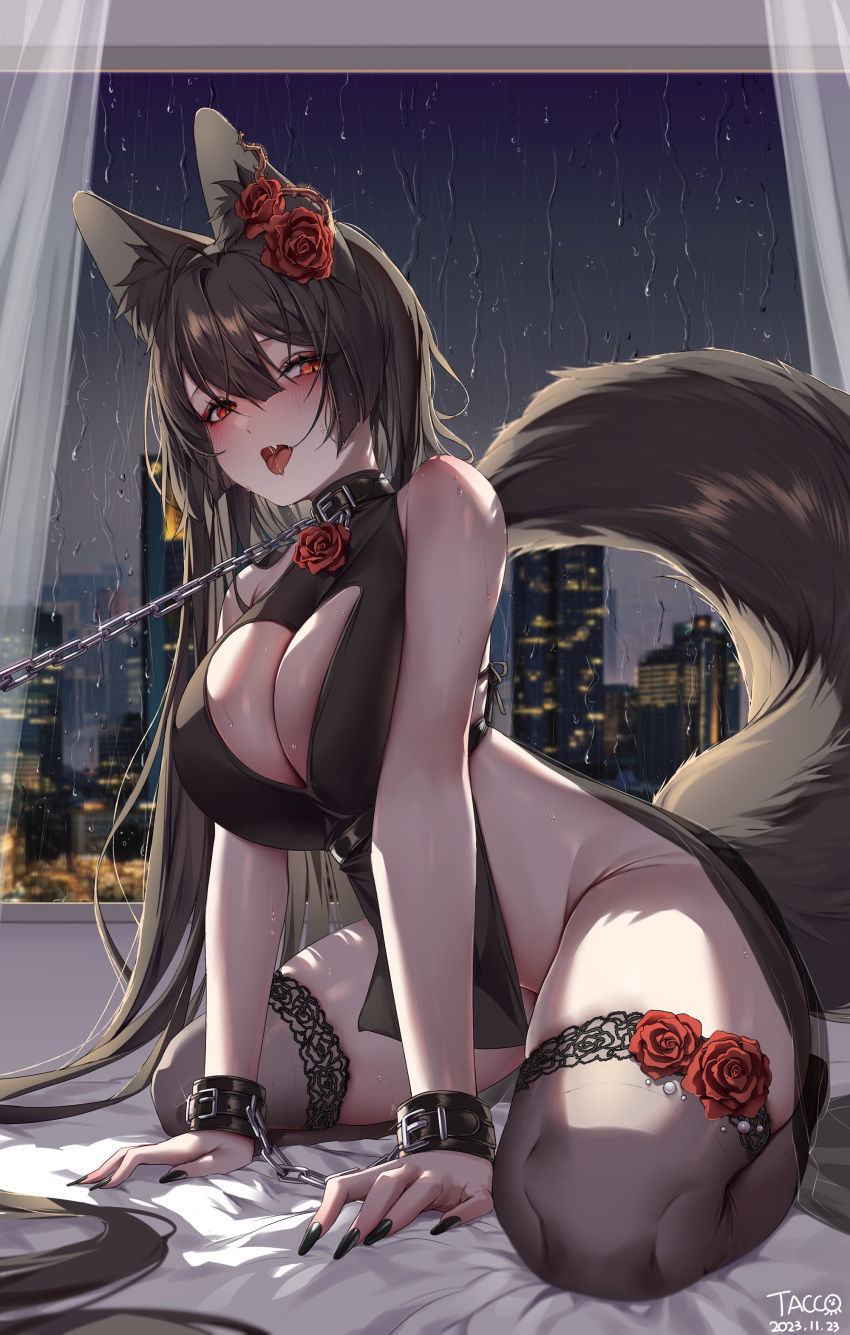 1girl absurdres animal_ear_fluff animal_ears arm_support bed_sheet black_hair black_nails black_thighhighs blunt_bangs blush bound bound_wrists breasts chain chain_leash cityscape cleavage_cutout clothing_cutout collar curtains dated dress fingernails flower fox_ears fox_girl fox_tail from_below groin hair_between_eyes hair_flower hair_ornament heterochromia highres indoors lace-trimmed_thighhighs large_breasts leash long_fingernails long_hair no_panties on_bed open_mouth orange_eyes original rain red_eyes red_flower red_rose rose saliva saliva_trail see-through short_dress side_slit sidelocks signature sitting sleeveless sleeveless_dress slit_pupils sweat tacco_(tikeworld) tail thighhighs tongue tongue_out very_long_hair window