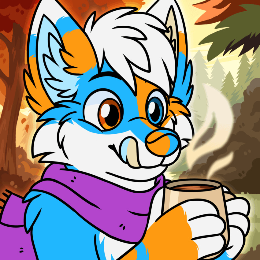 3_fingers animated anthro autumn beverage blue_body blue_fur briggan candy canid canine chocolate coffee container cup dessert fingers food forest forest_background fox fur hi_res hot_chocolate male mammal mug nature nature_background oggythefox orange_body orange_fur plant red_fox scarf solo steam tongue tongue_out tree unnatural_colors white_body white_fur