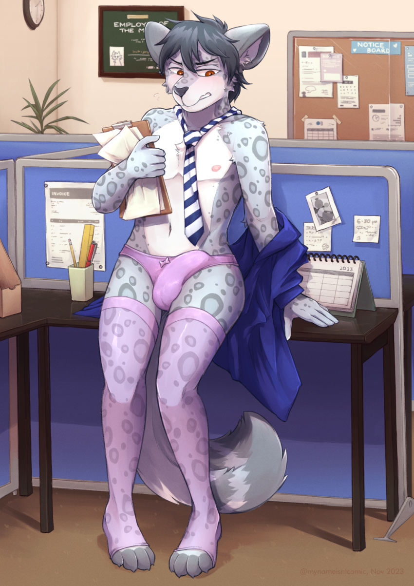 anthro bulge calendar clothing embarrassed felid flustered hi_res legwear male mammal markings mynameiscomic novus office pantherine panties public snow_leopard solo spots spotted_markings stockings text thigh_highs translucent translucent_clothing underwear workplace