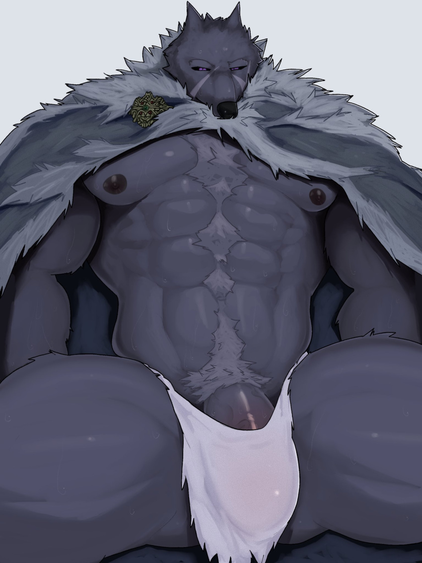 2023 anthro blaidd_(elden_ring) bulge canid canine canis cape cape_only clothed clothing digital_drawing_(artwork) digital_media_(artwork) elden_ring erection fromsoftware genitals hi_res male mammal mostly_nude mymu666 nipples partially_clothed pecs penis solo thick_thighs underwear wolf