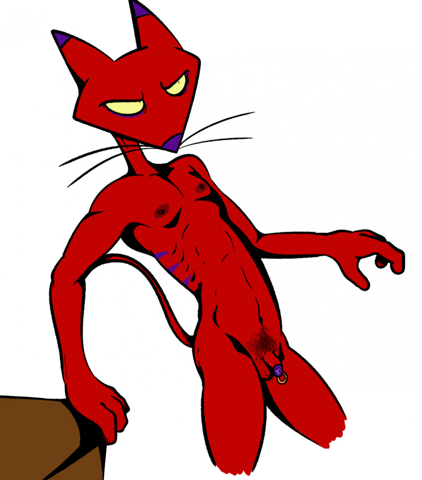 anthro balls cartoon_network courage_the_cowardly_dog felid feline flaccid genital_piercing genitals hi_res illegaleel katz_(courage_the_cowardly_dog) male mammal nipples penis piercing pubes simple_background solo