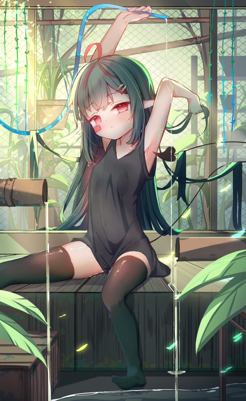 1girl absurdres armpits black_camisole black_hair black_thighhighs breasts camisole chain-link_fence demon_girl demon_tail dripping expressionless fence feng_xiaohei greenhouse hanging_plant highres holding holding_hair holding_hose hose long_hair looking_at_viewer multicolored_hair no_pants original plant pointy_ears potted_plant red_eyes red_hair shelf sitting small_breasts streaked_hair tail thighhighs two-tone_hair very_long_hair water water_pipe wet wet_hair