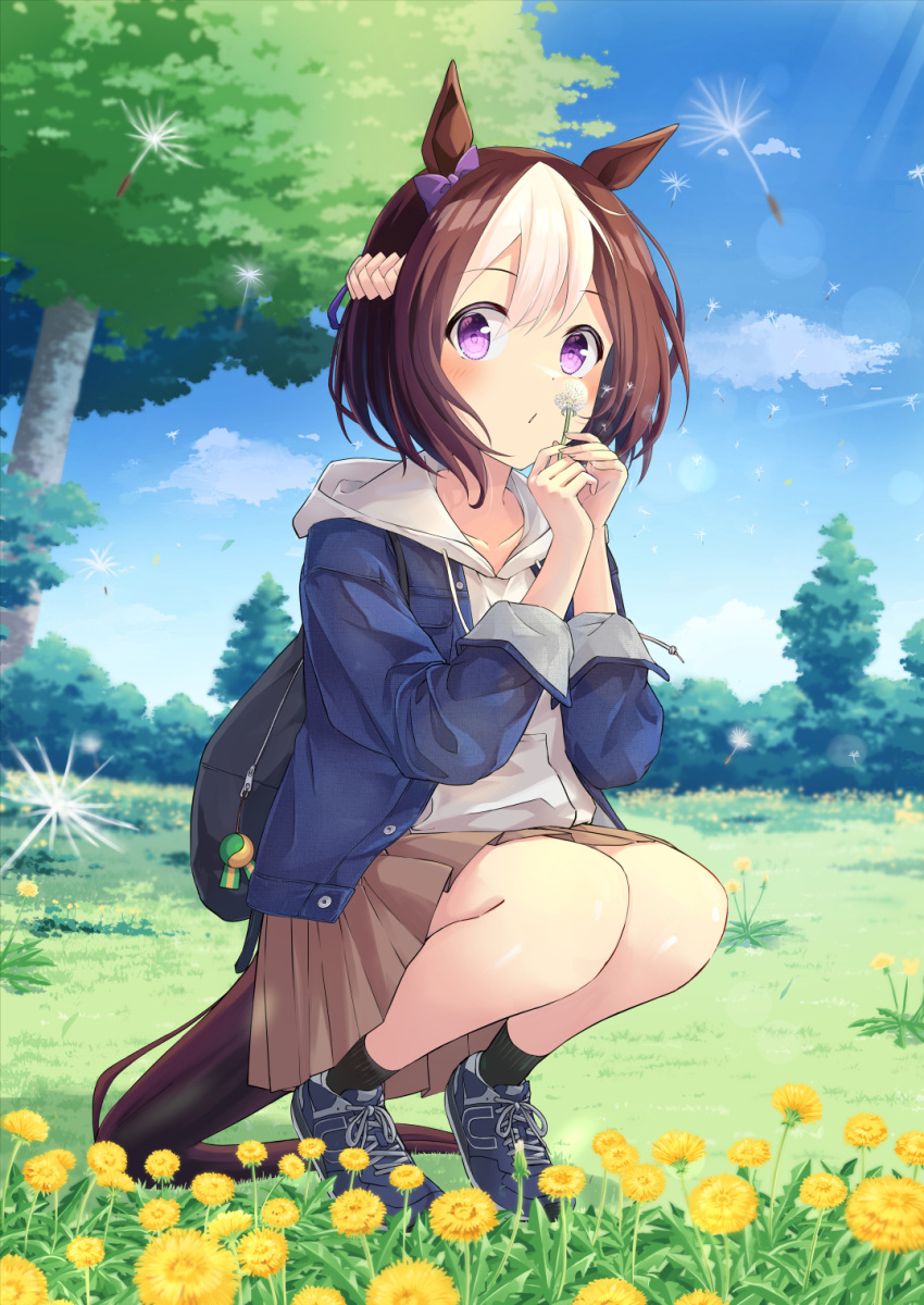 1girl animal_ears bag brown_hair casual collarbone dandelion flower full_body hair_between_eyes hair_ornament highres horse_ears horse_girl horse_tail jacket lens_flare medium_hair murasaki_himuro own_hands_together plant purple_eyes sitting sky solo special_week_(umamusume) tail tree umamusume