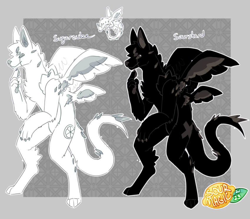 anthro black_body black_fur brown_eyes canid canine canis claws dragon duo fluffy fur grey_eyes hybrid male mammal markings pawpads paws sourmagic sourshard spiked_tail spikes spikes_(anatomy) sugarcube_(sourmagic) tail white_body white_fur wings wolf