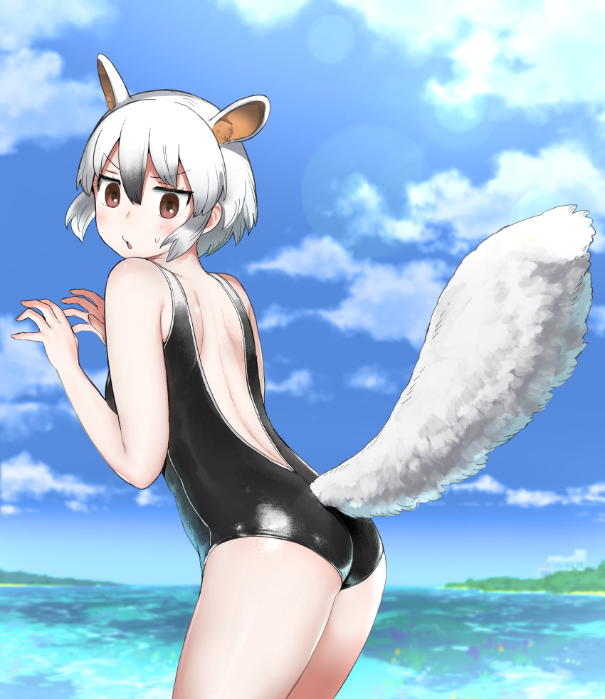 1girl absurdres animal_ears anteater_ears anteater_tail ass back backless_outfit backless_swimsuit black_hair black_one-piece_swimsuit blue_sky blush brown_eyes cowboy_shot day extra_ears fingernails flat_ass from_side hair_between_eyes hands_up highres horizon ito_yoki kemono_friends kemono_friends_3 leaning_forward looking_at_viewer median_furrow medium_hair multicolored_hair ocean one-piece_swimsuit outdoors pale_skin parted_bangs shiny_clothes shoulder_blades sky solo southern_tamandua_(kemono_friends) sunlight swimsuit tail tamandua_ears tamandua_tail two-tone_hair water white_hair
