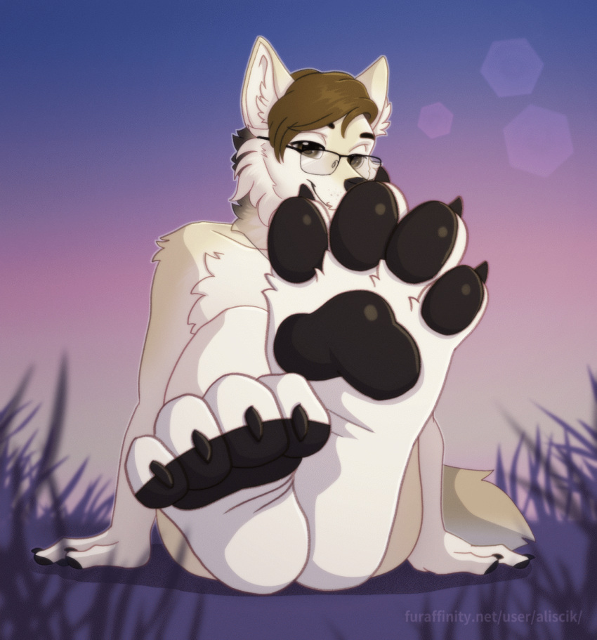 4_toes aliscik animated anthro barefoot canid canine canis claws dusk eyewear feet foot_fetish foot_focus glasses grass hi_res hindpaw male mammal outside pawpads paws plant presenting sabbyth short_playtime soles solo teasing toe_pads toes twilight wiggle wolf