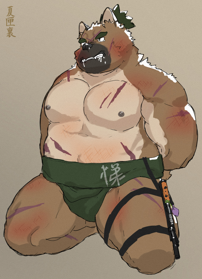 anthro asian_clothing belly blush brown_body brown_fur clothing east_asian_clothing eyebrows fur green_hair hair hi_res japanese_clothing kneeling lifewonders male mawashi musclegut natsuhakoura nipples pecs scar shirtless solo thick_eyebrows thigh_belt tokyo_afterschool_summoners yasuyori