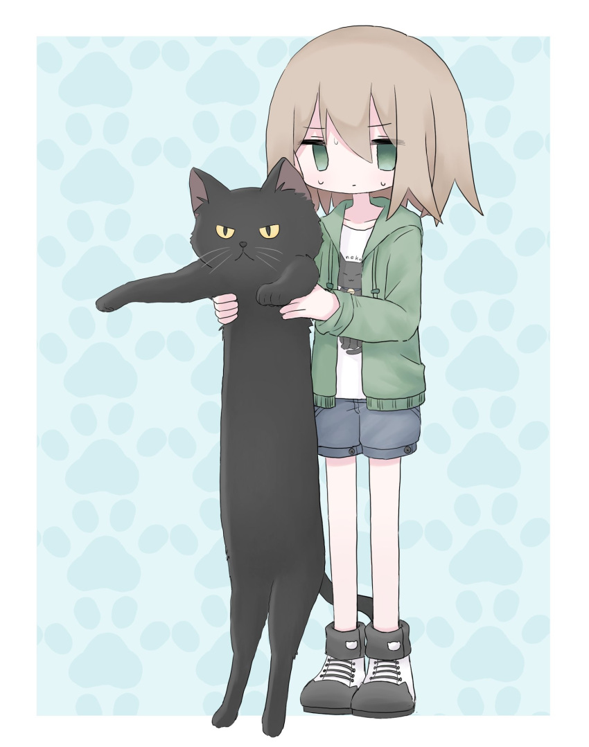 1girl animal black_cat blue_background border brown_hair cat closed_mouth commentary drawstring full_body green_eyes green_jacket grey_shorts hair_between_eyes highres holding holding_animal holding_cat hood hood_down hooded_jacket jacket kanikan long_sleeves longcat_(meme) looking_at_viewer medium_hair meme open_clothes open_jacket original outside_border paw_print paw_print_background print_shirt shirt shoes short_shorts shorts solo standing straight_hair sweat symbol-only_commentary white_border white_shirt