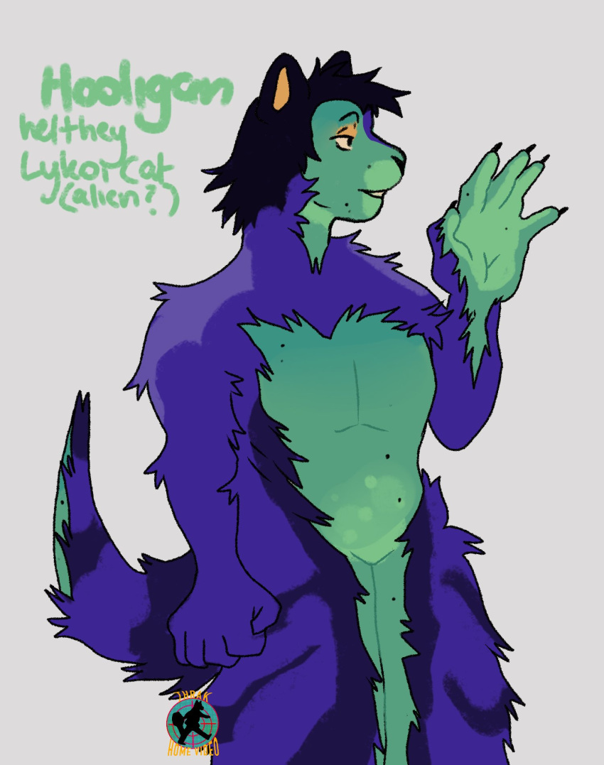 2021 alien anthro black_hair blue_body blue_fur countershading dark_body dark_fur digital_media_(artwork) domestic_cat english_text felid feline felis fist fur green_body green_countershading green_face green_fur hair hi_res hooligan_(videonastyz) humanoid_hands lykoi male mammal model_sheet monotone_hair multicolored_body multicolored_fur multicolored_tail portrait pronouns purple_body purple_fur signature solo tail teeth text three-quarter_portrait videonastyz yellow_eyelids yellow_inner_ear