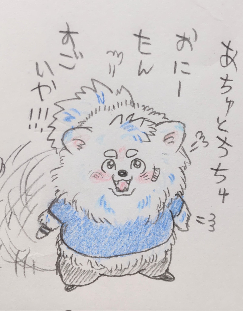 alternate_species anthro blue_clothing blush canid canine canis clothing domestic_dog fluffy fujifuji_w hi_res japanese_text lifewonders live_a_hero male mammal pomeranian shirt solo spitz t-shirt tail tail_motion tailwag text topwear traditional_media_(artwork) yohack