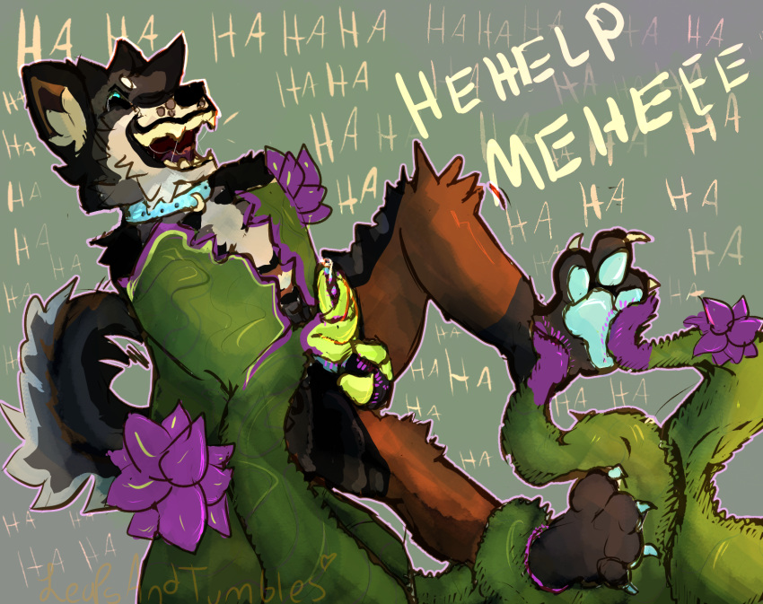 begging begging_for_mercy canid canine chu-tora collar genitals hi_res laugh leapsandtumbles male mammal onomatopoeia penis plant questionable_consent restrained solo sound_effects text tickle_torture tickling tickling_feet tickling_genitalia tickling_penis