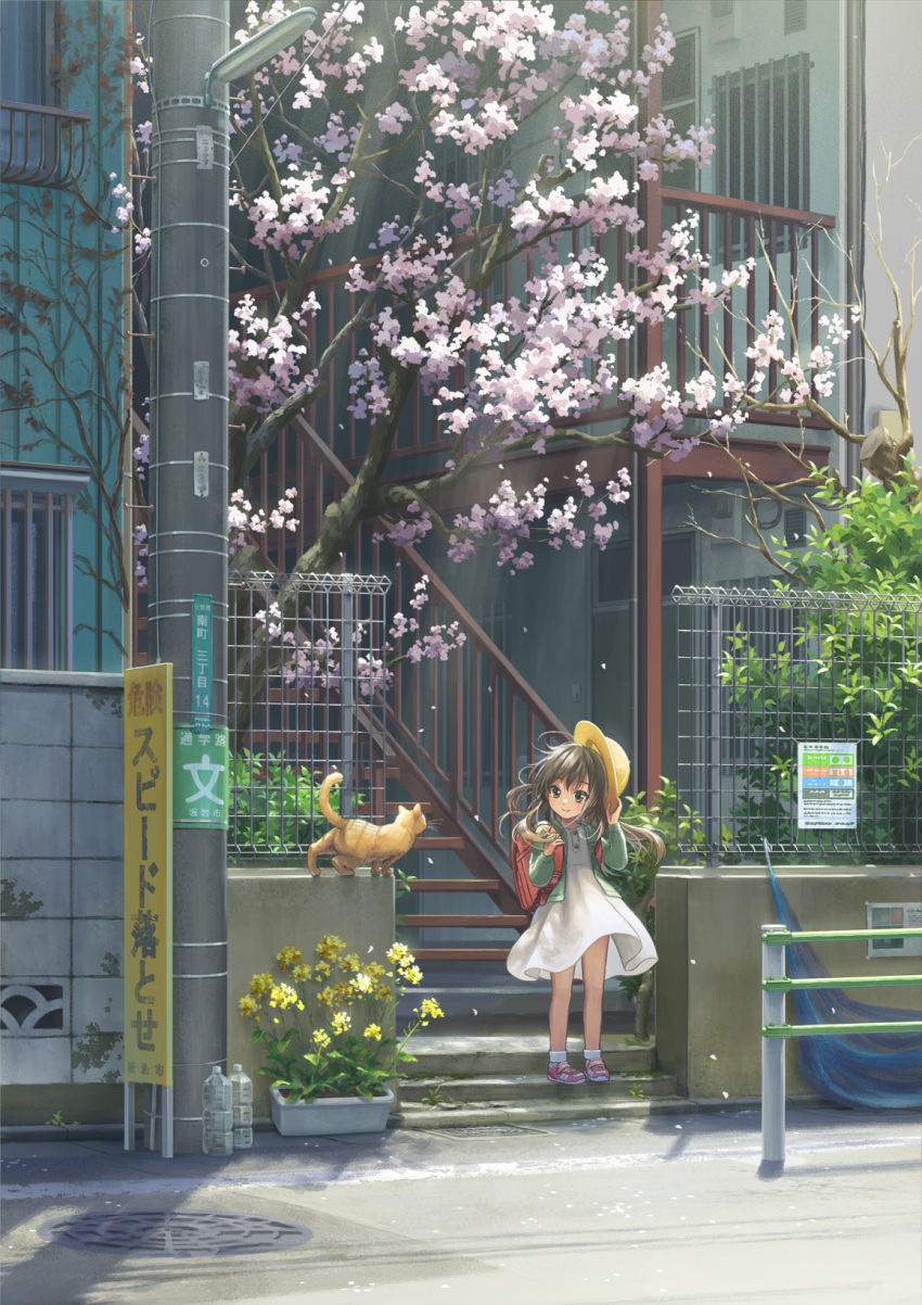 1girl apartment backpack bag bottle brown_eyes brown_hair building cat cherry_blossoms child closed_mouth commentary dress falling_petals fence flower_pot green_jacket hat highres hirose_yuki holding holding_clothes holding_hat jacket long_hair manhole manhole_cover original outdoors petals pink_footwear randoseru rapeseed_blossoms red_bag road road_sign scenery school_hat shoes sign sneakers socks stairs utility_pole white_dress white_socks wire_fence yellow_headwear