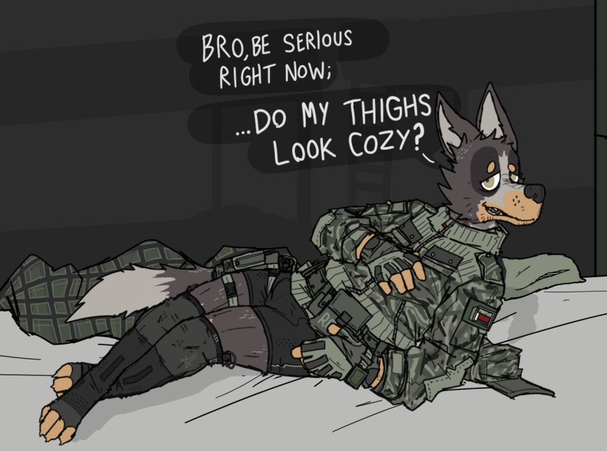 anthro arm_support athletic bed canid canine canis clothed clothing dialogue domestic_dog furniture gloves handwear holstered_pistol jacket leaning_on_elbow legs_cross long_socks male mammal military_gear muscular_thighs pantsless ricthecusco scruffy_beard smile smirk solo suggestive talking_to_viewer topwear underwear uniform