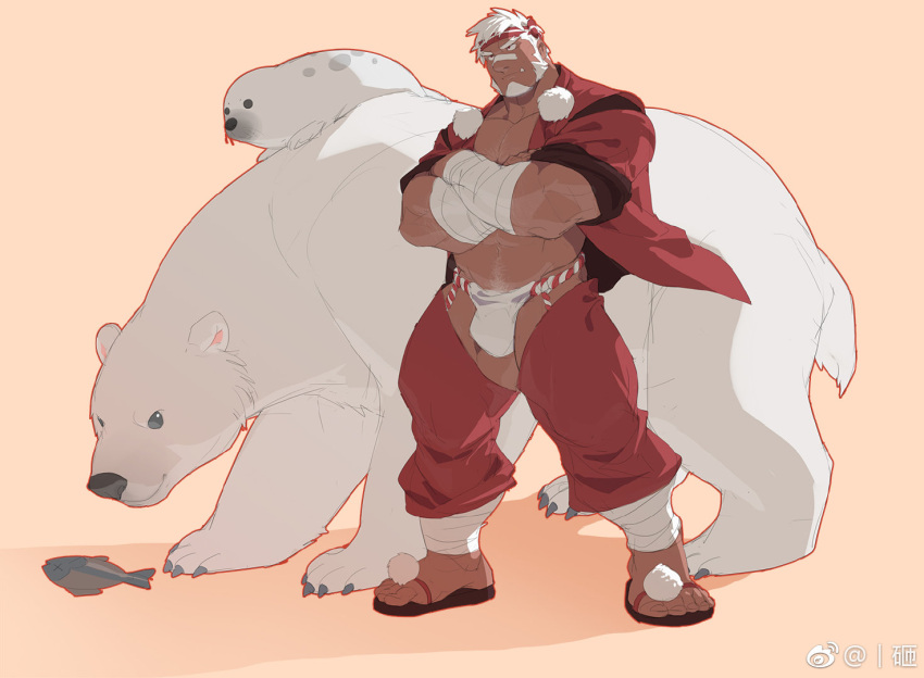 1boy alternate_costume bandaid bandaid_on_face bandaid_on_nose bara bear ben_(rollingstonex6) bulge clothing_cutout crossed_arms crotchless crotchless_pants dark-skinned_male dark_skin facial_hair full_body fundoshi goatee headband japanese_clothes large_pectorals male_focus mature_male muscular muscular_male mutton_chops original pants pectorals polar_bear red_headband rollingstonex6 sandals seal_(animal) short_hair smile solo thick_eyebrows thick_thighs thigh_cutout thighs tusks white_hair