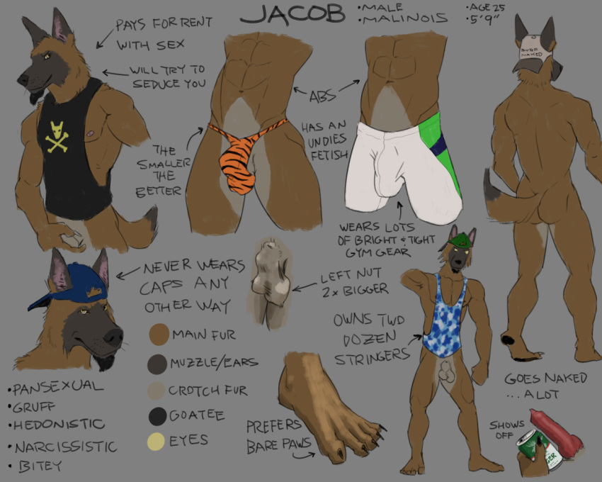 2023 5_toes abs animal_genitalia animal_penis anthro asymmetrical_balls athletic athletic_anthro athletic_male backwards_baseball_cap backwards_hat balls baseball_cap beverage_can black_nose black_pawpads bottomless bottomless_anthro bottomless_male boxers_(clothing) brown_body brown_fur butt canid canine canine_genitalia canine_penis canis character_name claws clothed clothing digital_media_(artwork) domestic_dog ears_through_headwear english_text erection facial_hair feet fur g-string genitals goatee hat headgear headwear herding_dog humanoid_feet humanoid_hands jacob_(sampsonwoof) knot male malinois_dog mammal model_sheet mostly_nude navel nipples nude pastoral_dog pawpads penis plantigrade rear_view sampsonwoof sheath sheepdog shirt solo standing tank_top text toe_claws toes topless topless_anthro topless_male topwear underwear yellow_eyes